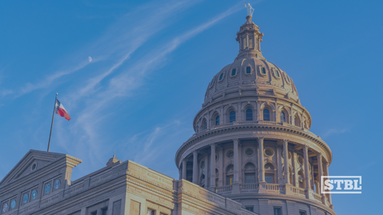 Texas Business Courts